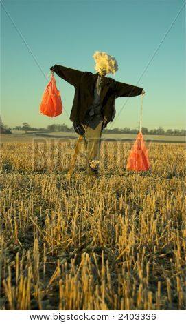 Jscarecrowc