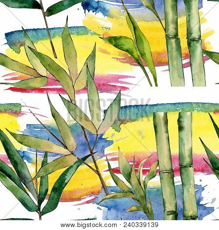 Bamboo Tree Pattern In A Watercolor Style. Aquarelle Wild Bamboo Tree For Background, Texture, Wrapp
