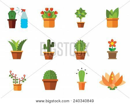 Flowers Vector Icons Set With Aloe In Pot, Tulip And Cactus In Pot. Flat Icons