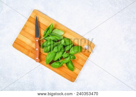 Green Fresh Home Basil, Spicy Herb On A Cutting Board With A Knife On A Gray Concrete Table