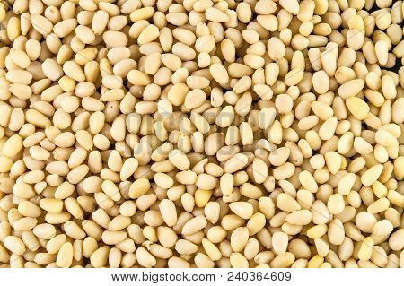 Pine Nuts Close Up, Pinenuts Texture Background