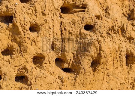 A Colony Of Bird Holes In A Sandstone Cliff. Bird Nesting Place.