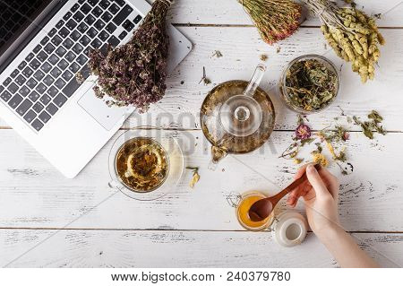 Cup Of Healthy Tea, Honey, Healing Herbs, Herbal Tea Assortment And Berries On Table. Top View. Herb