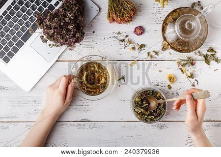 Cup Of Healthy Tea, Honey, Healing Herbs, Herbal Tea Assortment And Berries On Table. Top View. Herb
