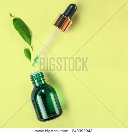 The Minimal Style. Vegetable Extract, Essential Oil In A Vial With A Pipette. The Concept Of Natural