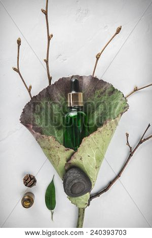The Minimal Style. Herbal Extract, Essential Oil In A Vial With A Pipette On A Green Leaf. The Conce