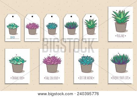 Set Of Cute Postcards And Tags With Hand Drawn Colorful Succulents. Vector Illustration.