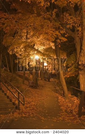 Natt promenad
