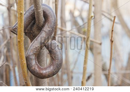Self-made Steel Hook Hanging On The Tree. Blurred Background With Copy Space.