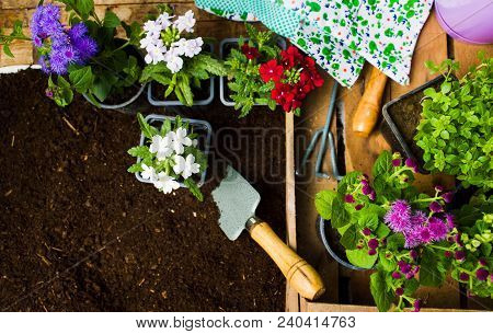 Colorful Flowers And Gardening Tools In The Soil Top View
