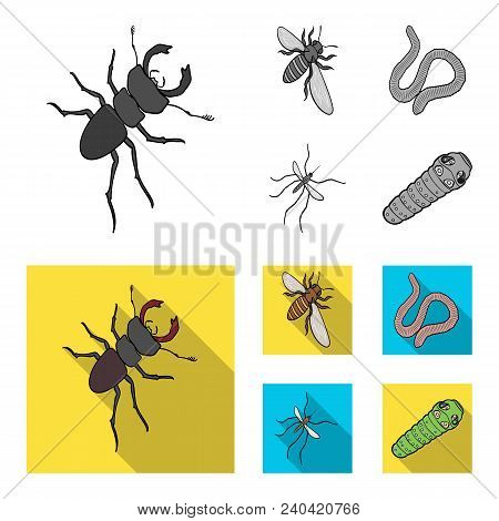 Arthropods Insect Mosquito, Bee.earth Worm, Caterpillar, Vermicular Set Collection Icons In Monochro