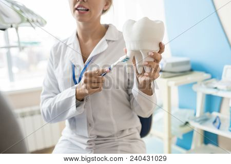 Mid Section Portrait Of Female Dentist Holding Tooth Model And Showing How To Brush Teeth To Unrecog