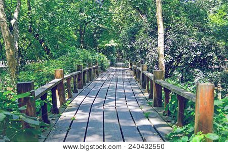A Wood Pathway In Forest With Shadow On Pathway.