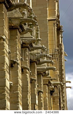 ดาม - Gargoyles