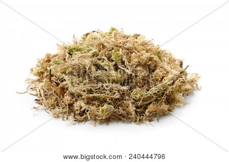 Pile of dry sphagnum moss isolated on white