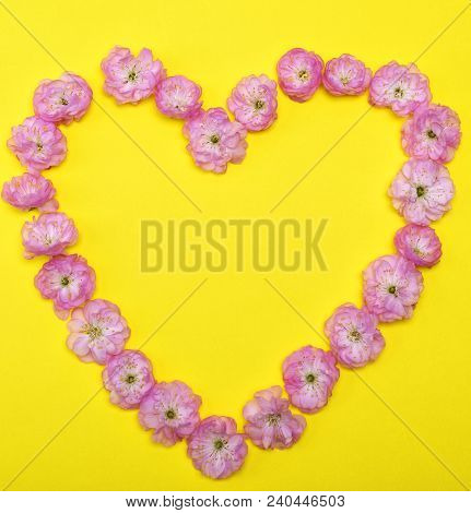 Pink Blossoming Buds Almonds Trilobate On A Yellow Background, Heart Shape, Copy Space