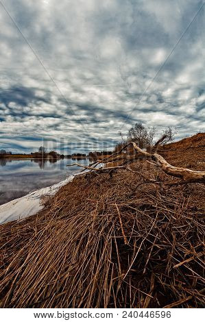 A Dead Branch Lies On The Shore By The River In The Northern Finland. The Dramatic Skies Reflect On 