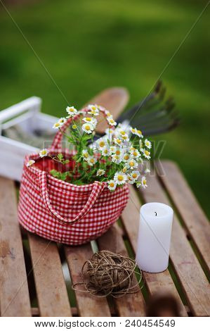Garden Work Still Life In Summer. Chamomile Flowers In Red Handmade Bag, Gloves And Toold On Wooden 