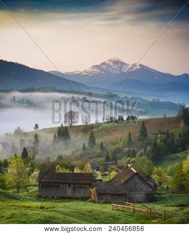Early Misty Morning In A Spring Village Under Hoverla, The Highest Mountain Of Ukraine