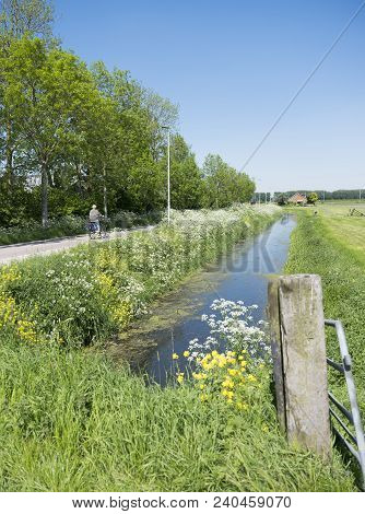 Houten, Netherlands, 9 May 2018: Person On Bicycle Passes Blooming Flowers On Country Road Between U