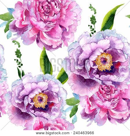 Wildflower Peony Pink Flower Pattern In A Watercolor Style. Aquarelle Wildflower For Background, Tex