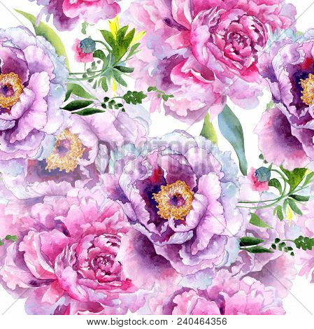 Wildflower Peony Pink Flower Pattern In A Watercolor Style. Aquarelle Wildflower For Background, Tex