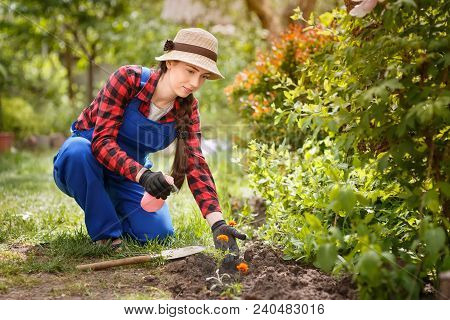 Young Woman Gardener In Work Clothes Spraying Pesticide Or Water On Flowers, Green Blurred Yard On T