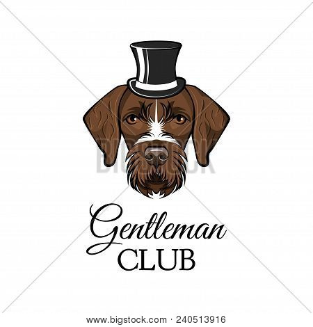 German Shorthaired Pointer Gentlemat. Top Hat. Dog Portrait. Gentleman Club Inscription. Vector Illu