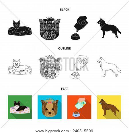 A Dog In A Lounger , A Muzzle Of A Pet, A Bowl With A Feed, A Sheepdog With A Ball In His Teeth. Pet