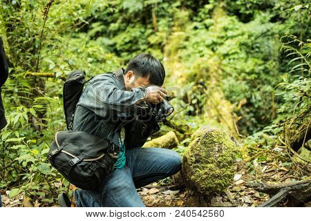 Jomthong, Chiang Mai, Thailand 3-dec-2017 Tourists Are Intent On Taking Pictures Of Moss In The Jung