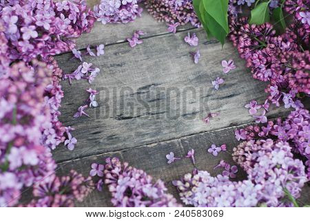 Spring Flowers. Lilac Flowers Frame On White Wooden Background. Top View, Flat Lay