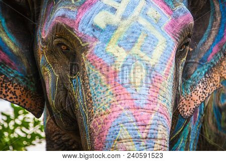 A Young Elephant, Painted By The Artist With Crayons Ornament Assorted Colors