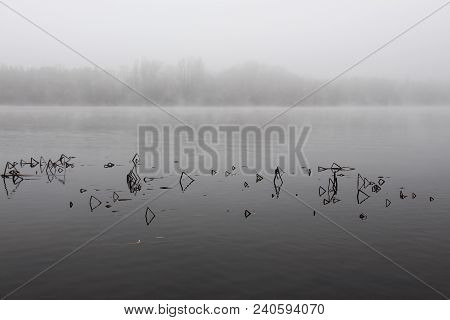 Dry Bent Sedge On The Surface Of Water