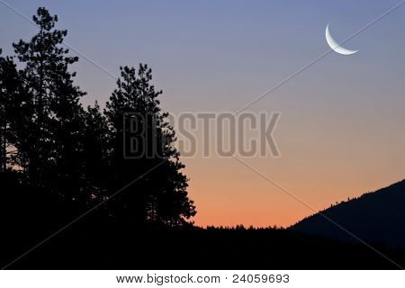 ซันไรส์มอนทาน่า