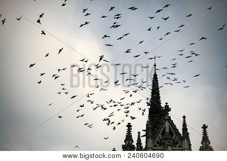 Birds Fly To Warmer Lands. Migratory Birds Concept. Birds Fly Above Tower Or Belfry. Black Birds Or 