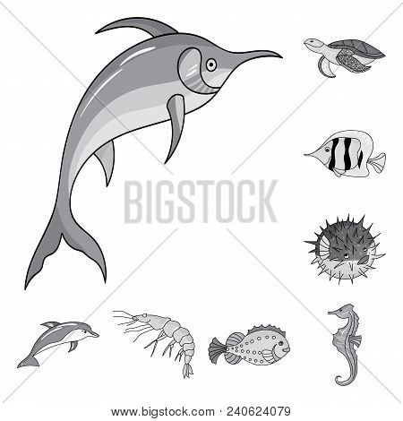 A Variety Of Marine Animals Monochrome Icons In Set Collection For Design. Fish And Shellfish Vector