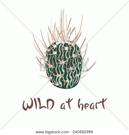 Hand Written Lettering Message Slogan Wild At Heart With Cactus Image