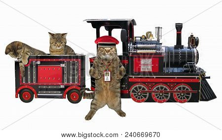 The Cat Railwayman Is Next To The Toy Train. White Background.