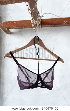 Sexy Transparent Bra On Hanger. Fashionable Female Lacy Underwear. Lingerie, Women Underwear
