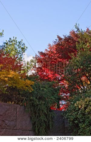 Ciel et feuilles d'automne