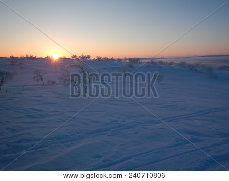 Crosscountry Skiing In Northern Lapland Beautiful Nature