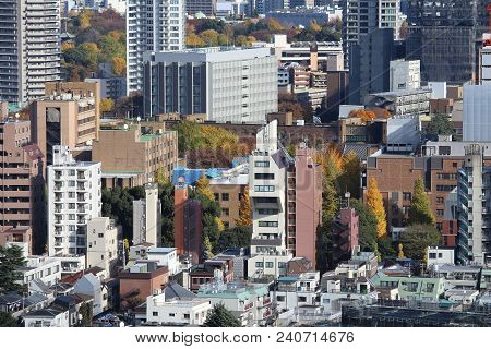 Tokyo Cityscape With Bunkyo District. Big City Aerial View.