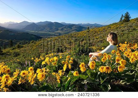 Vacation Travel In Washington State. Woman Sitting Among Arnica Or Balsamroot Sunflowers On Hill Wit