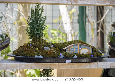 Hobbit House In A Pot With Moss And Little Pine Cone . Scale Model Of A Hobbit House
