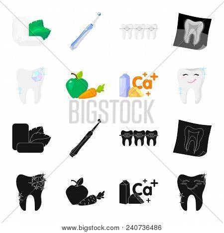 A Tooth With Brilliant Sparkling, An Apple With Carrots Useful For Teeth, Milk In A Box, Cheese And 