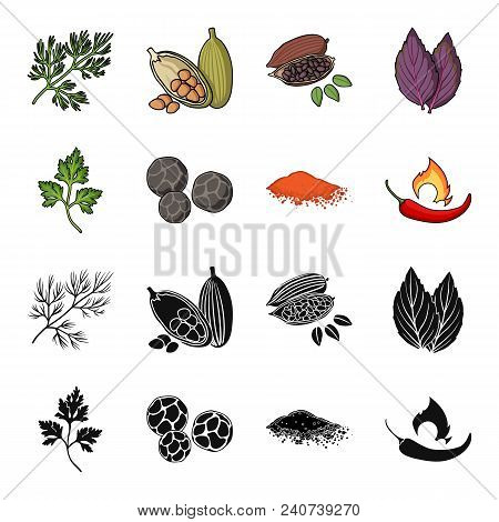 Ptrushka, Black Pepper, Paprika, Chili.herbs And Spices Set Collection Icons In Black, Cartoon Style