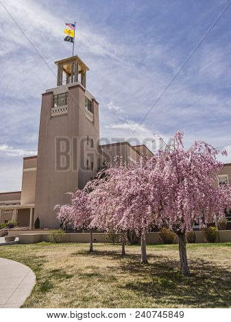 Cherry Trees In Blossom And The Tower Of The Bataan Memorial Building, A New Mexico State Office Com