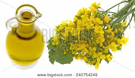 Rapeseed Oil In A Glass Bottle Isolated On A White Background