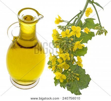 Rapeseed Oil In A Glass Bottle Isolated On A White Background