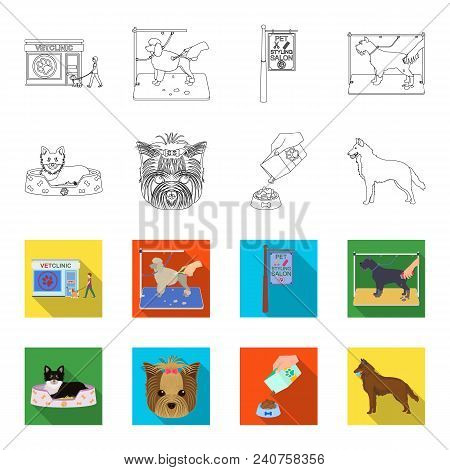 A Dog In A Lounger , A Muzzle Of A Pet, A Bowl With A Feed, A Sheepdog With A Ball In His Teeth. Pet